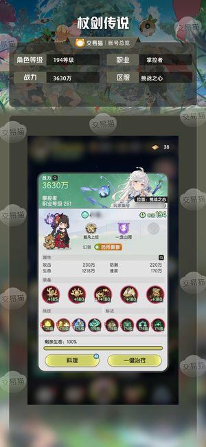 杖剑传说【194级】万氪贤者极品配置