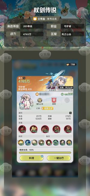 杖剑传说【205级】9w3氪骑士