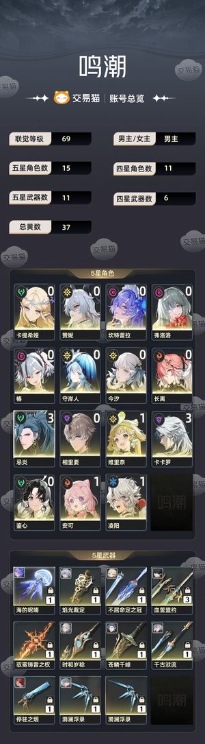 鸣潮【69级】 忌炎3命 焰光裁定/海喃双专武