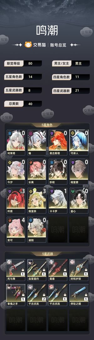 鸣潮【80级】 椿6 1吟霖3多up多专武