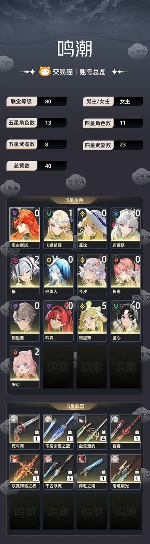 鸣潮【80级】 退坑了，可小刀