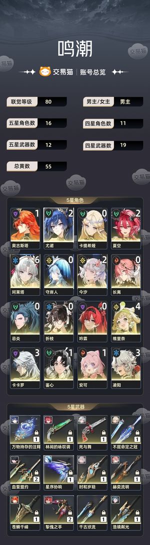 鸣潮【80级】 61珂5支队伍主C21大小月卡