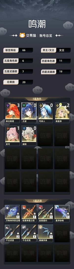 鸣潮【66级】 31奥古 01尤若 01守