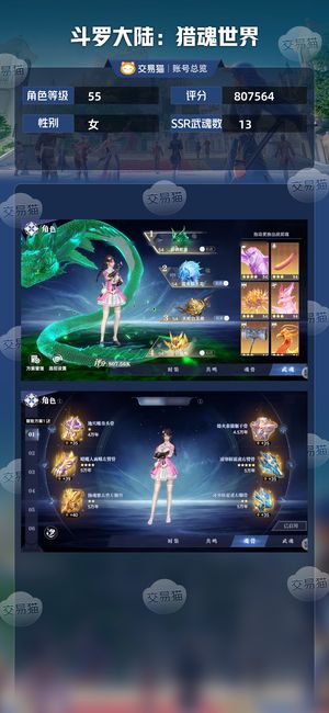 斗罗大陆：猎魂世界【55级】800k55级第一梯队账号