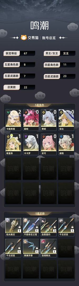 鸣潮【67级】 21卡提队01赞尼队