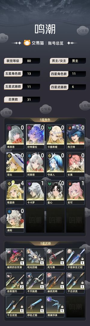 鸣潮【80级】 暗队火队风队齐