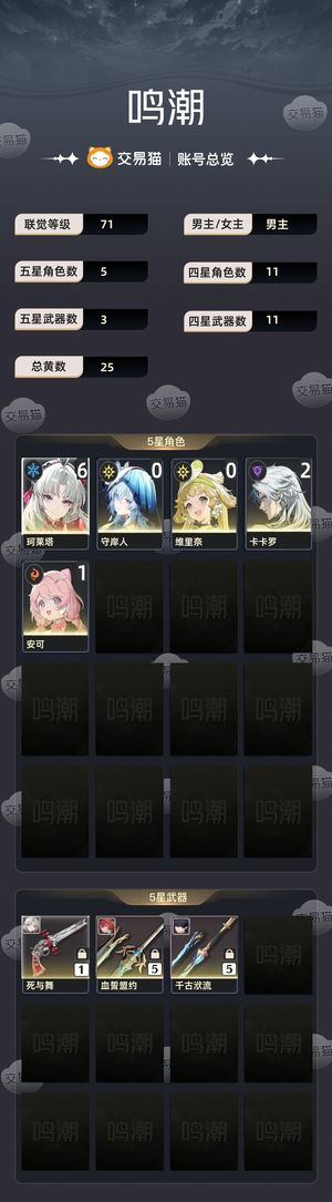 鸣潮【71级】 满链61珂莱塔带守岸人