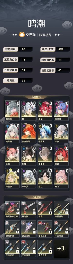 鸣潮【80级】 3队大毕业多资源全四星满命不刀