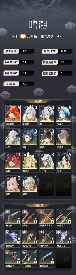 鸣潮【80级】 双满命满精奥古斯塔守岸人及专武