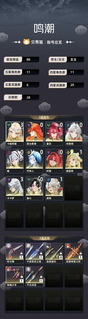 鸣潮【80级】 鸣潮自玩账号