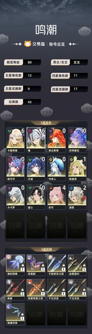 鸣潮【80级】 61卡提61椿日月队