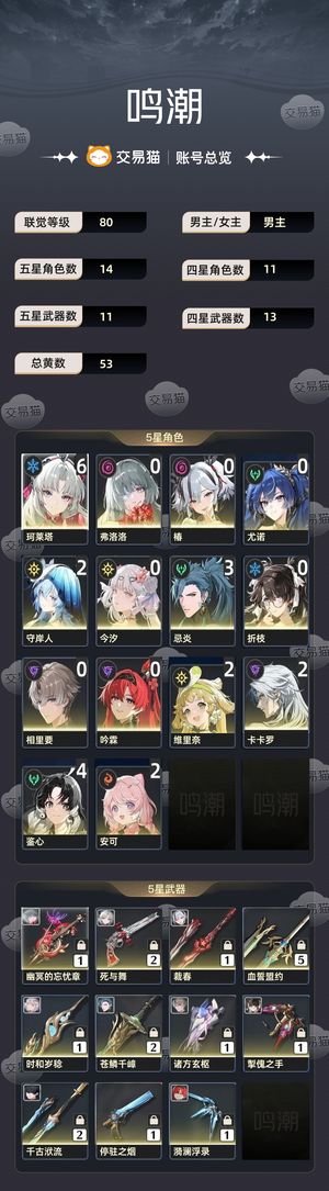 鸣潮【80级】 62柯32忌2守多01加二百抽