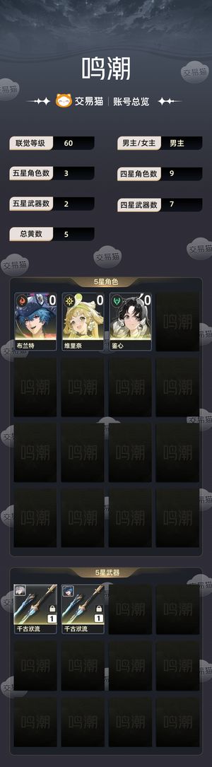 鸣潮【60级】 布兰特带340限定抽33300