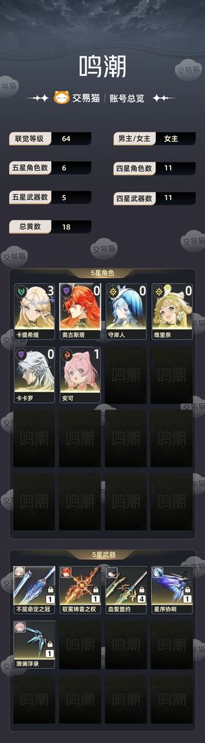 鸣潮【64级】 3 1卡提，0 1奥古