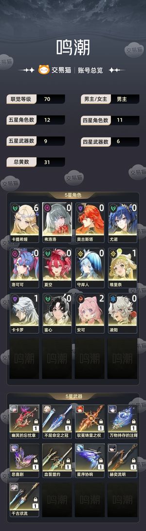 鸣潮【70级】61卡提希娅 风蚀队 日月星队