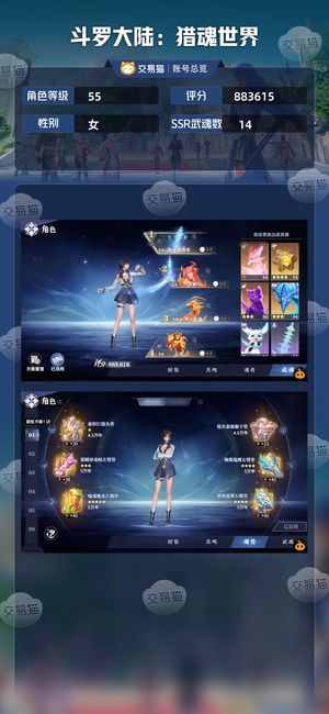 斗罗大陆：猎魂世界【55级】火队大成双神赐