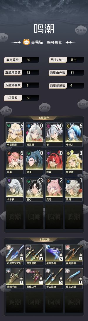 鸣潮【80级】 65卡提65守65长离4W星声