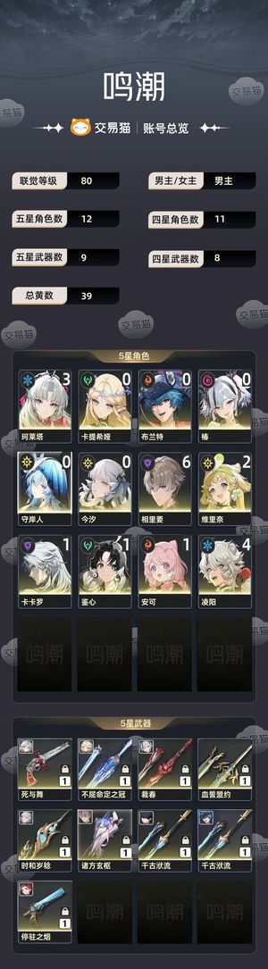 鸣潮【苹果版】【80级】 241抽垫14开服号