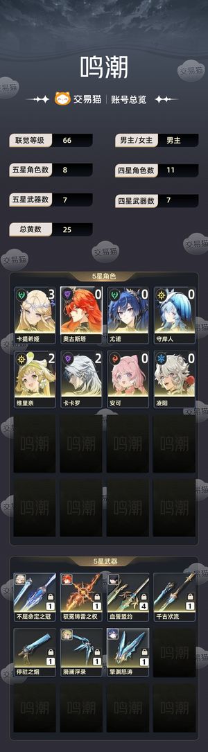 鸣潮【66级】 31卡提 日月守