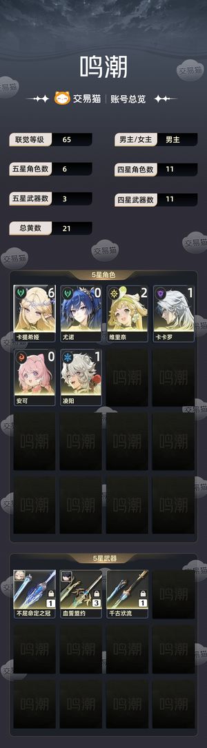 鸣潮【65级】 6命卡提希娅