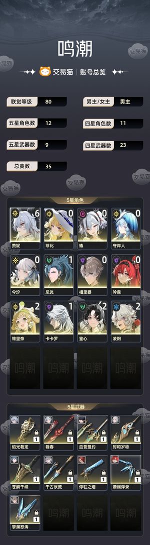 鸣潮【80级】 满命赞妮带四百抽