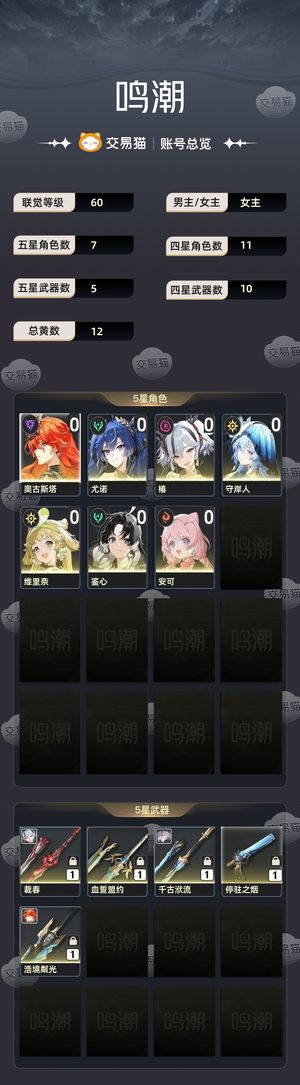 鸣潮【60级】 日月队加椿，声骸小毕业