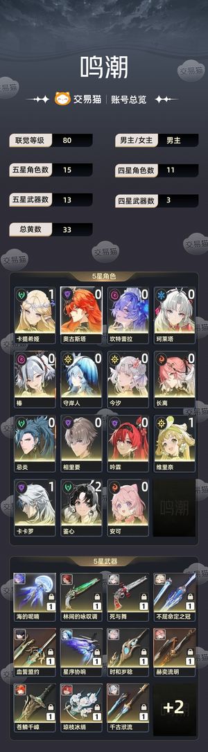 鸣潮【80级】 角色高练度
