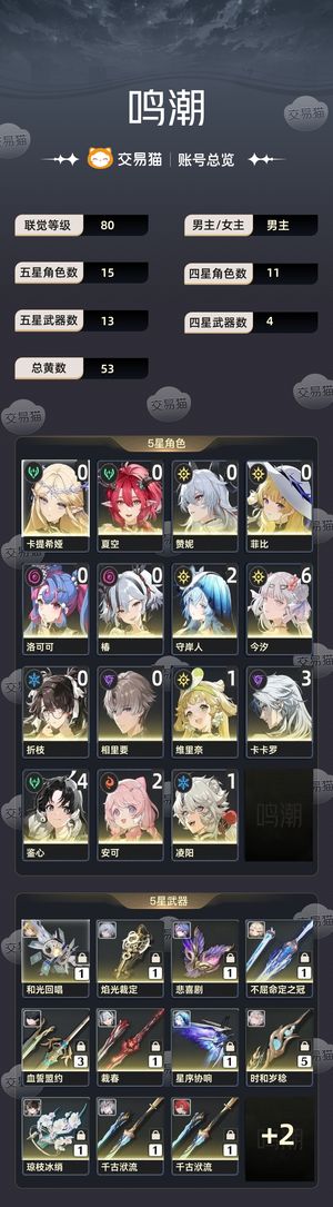 鸣潮【80级】 65粉夕21守岸人