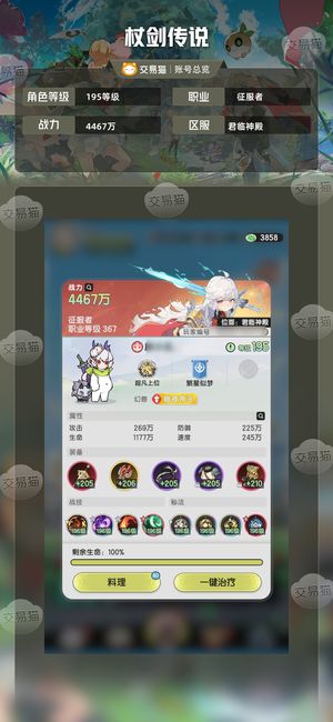 杖剑传说【195级】君临神殿4.2w精氪
