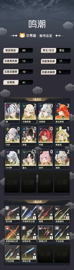 鸣潮【苹果版】【80级】 满链椿二链卡提奥古