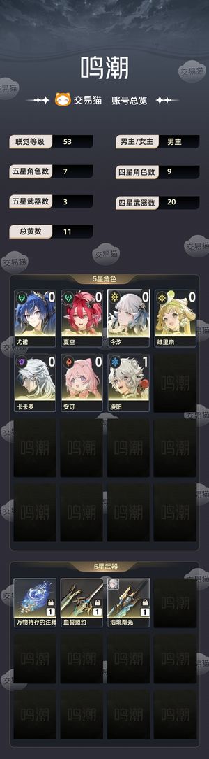 鸣潮【53级】 01尤诺00夏空00今汐00维