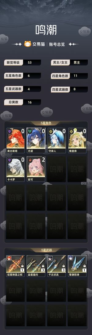 鸣潮【53级】 日月队，守岸人，三把千古多金号