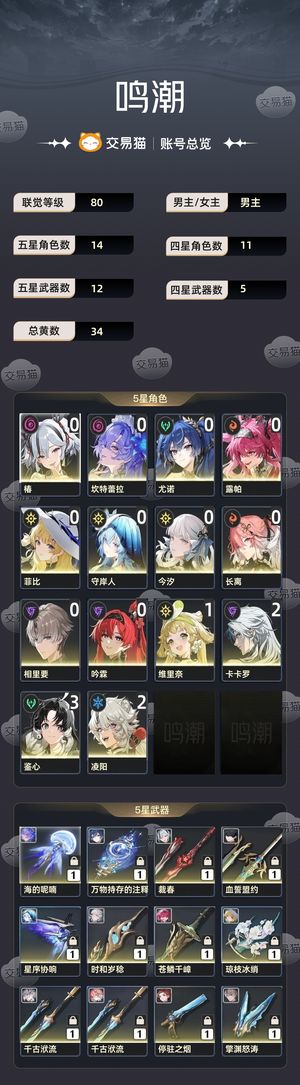 鸣潮【80级】 10up角色7专低探索月卡