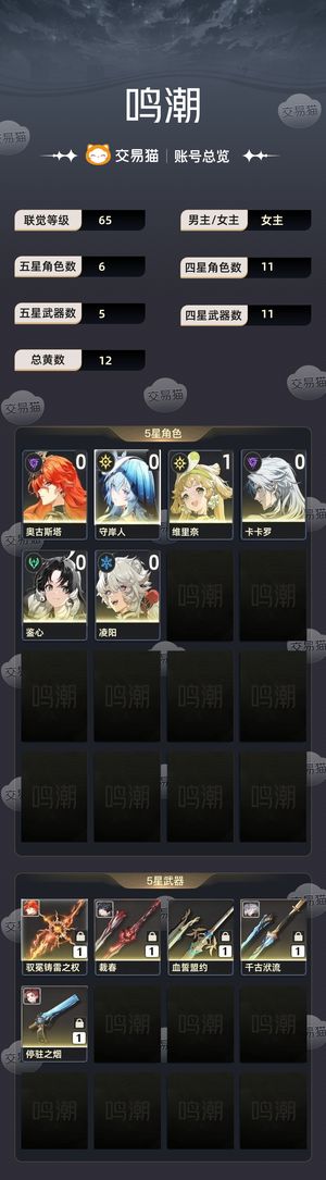 鸣潮【65级】 【65】 奥古斯塔
