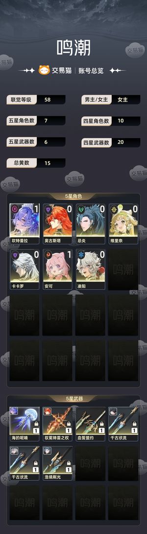 鸣潮【58级】 极品新手号