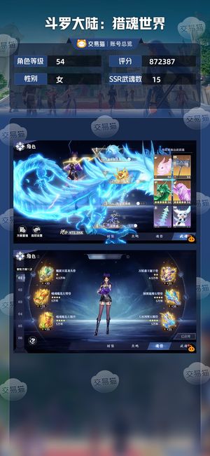 斗罗大陆：猎魂世界【54级】榜5氪度7000极品号