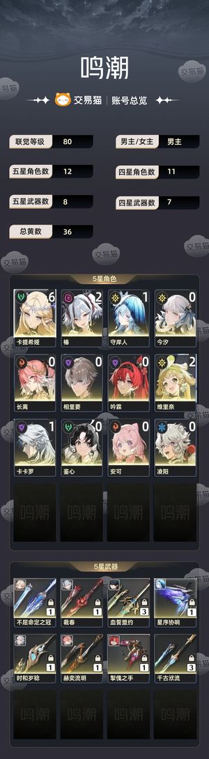 鸣潮【苹果版】【80级】 61卡提 21椿16000心声