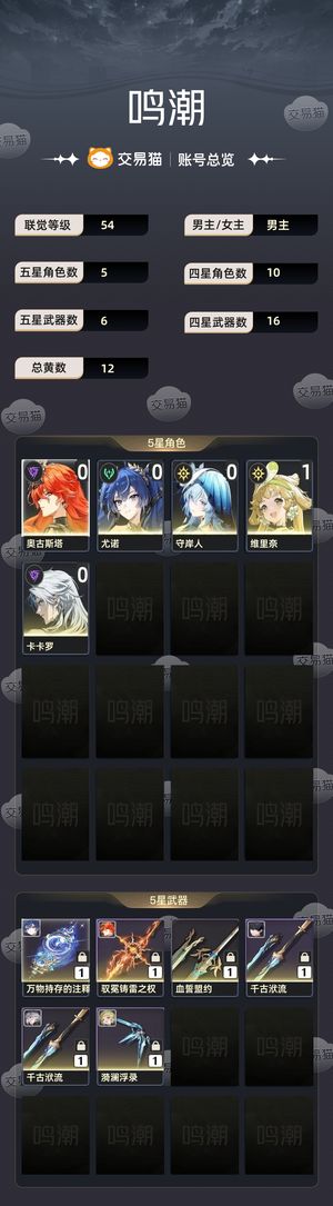 鸣潮【54级】 鸣潮手工账号
