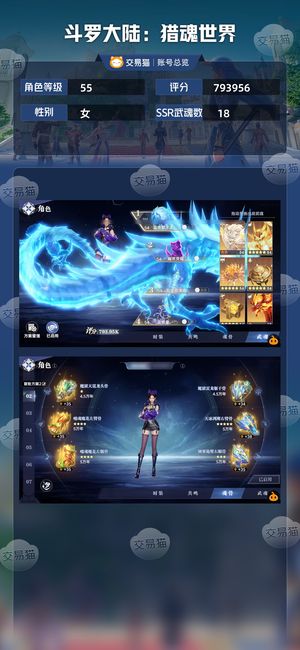斗罗大陆：猎魂世界【55级】红三神赐龙红三荣荣红二老虎  