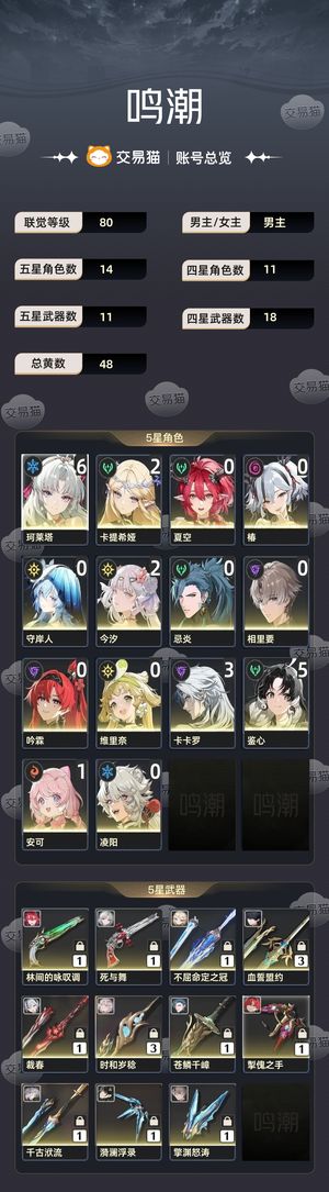 鸣潮【80级】 6 1柯莱塔3 1卡提2 3汐