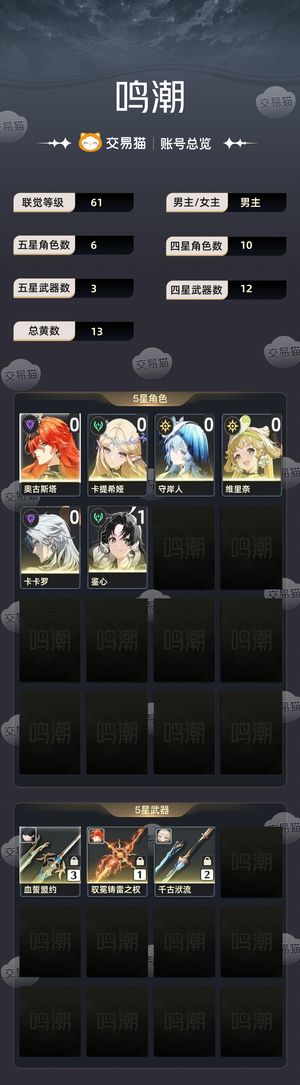 鸣潮【61级】 退游账号，不想玩了