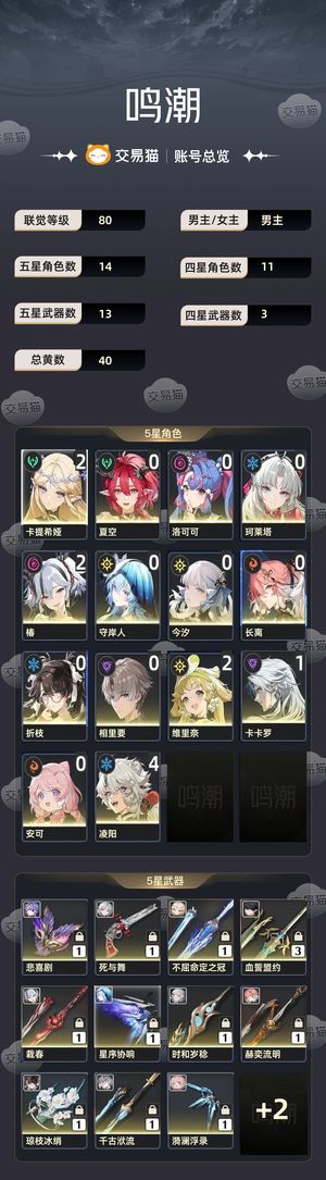 鸣潮【80级】 鸣潮安卓官服