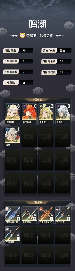 鸣潮【75级】 61满命卡提希娅