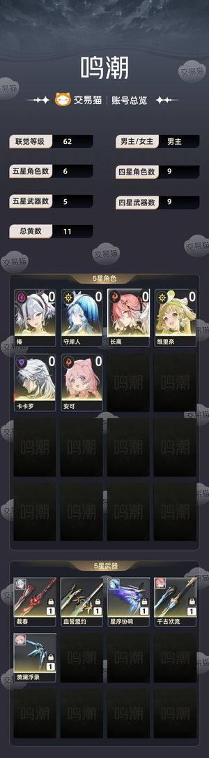 鸣潮【苹果版】【62级】 鸣潮自玩号