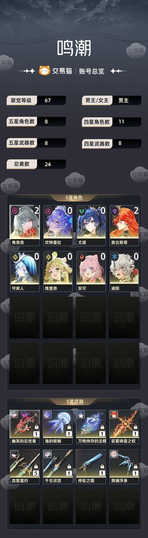 鸣潮【67级】 2T0阵容双主C2链五专武极品