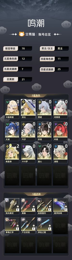 鸣潮【70级】 鸣潮官服号