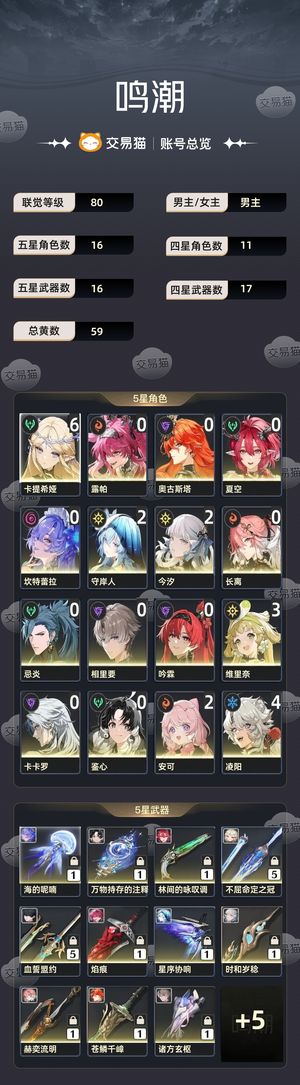 鸣潮【80级】 65卡提21守岸人今汐