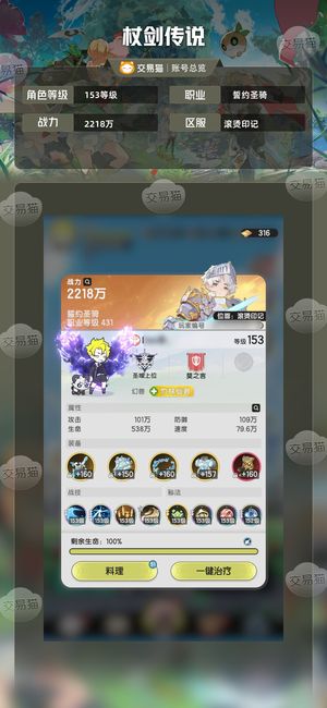杖剑传说【153级】6万氪界域亚军骑士
