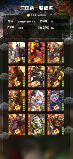 三国杀一将成名（三国杀十周年）【骠骑将军-骠骑将军】顶阴嫖骑将军