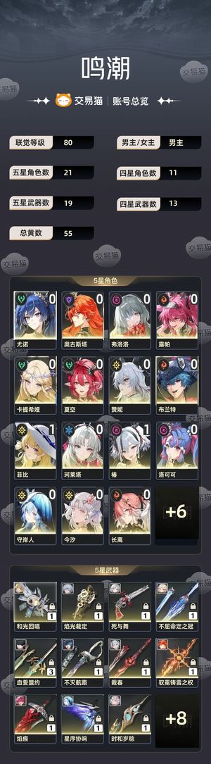 鸣潮【80级】 高练度多队伍鸣潮账号